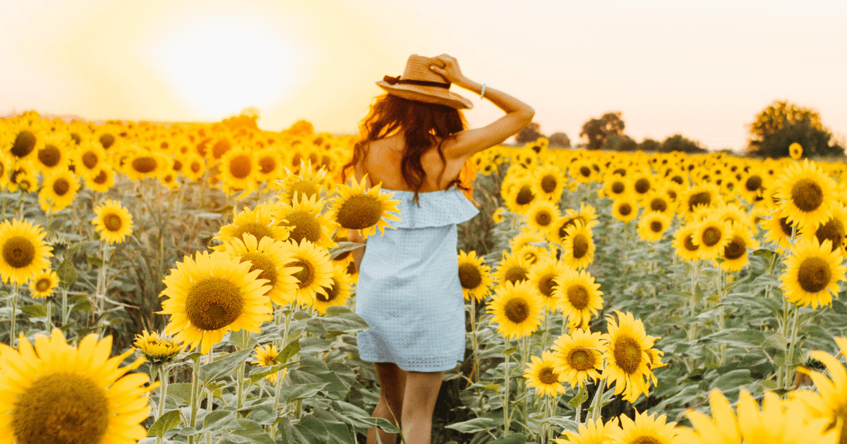 Will Alcohol Free Living Ever Feel Normal And Lovely? The Sober School